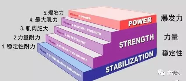成年人是否可以通过篮球训练改善身高_0