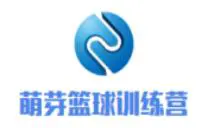 如何通过数据分析优化篮板训练效果?_0